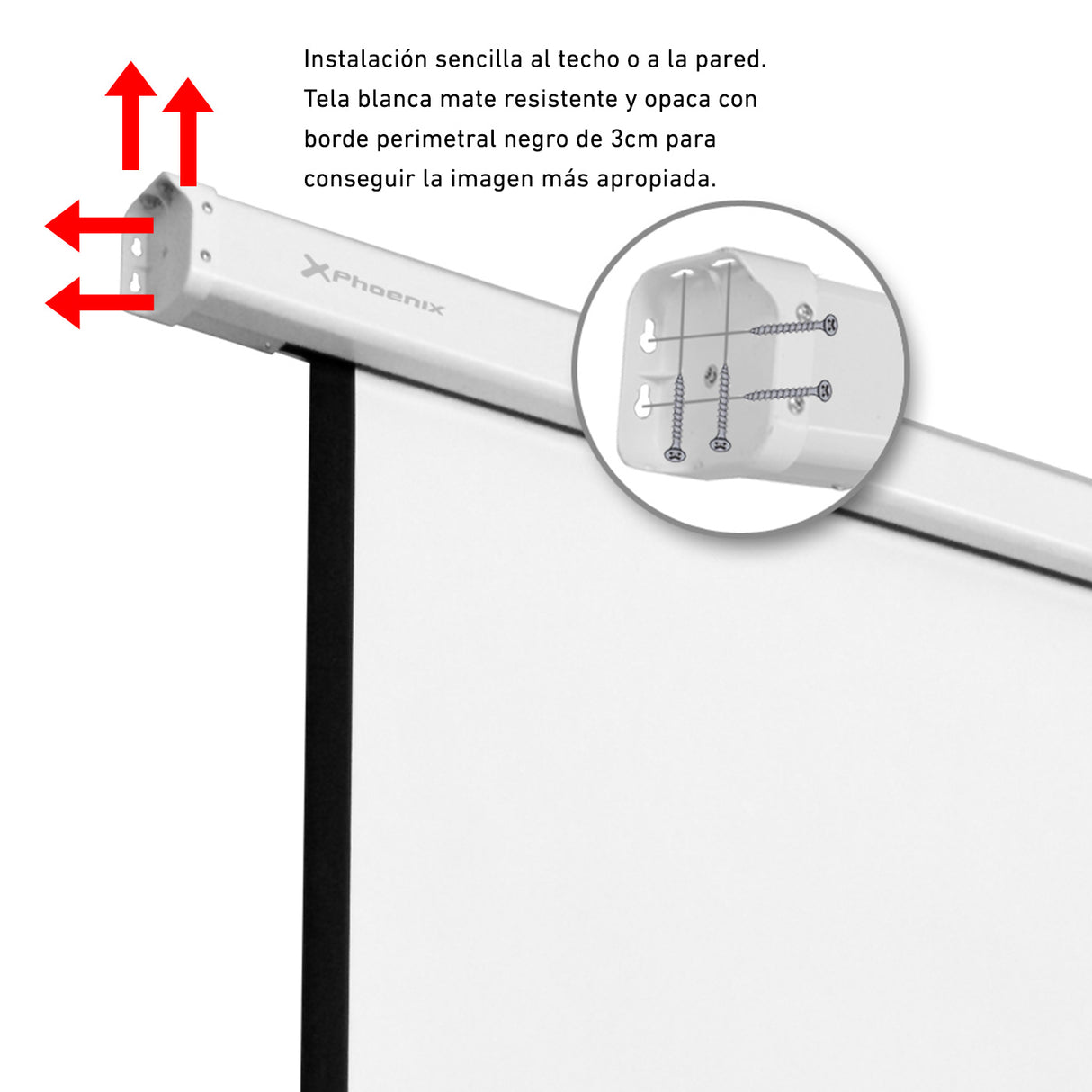 Tela de projeção elétrica 240X240cm PHOENIX