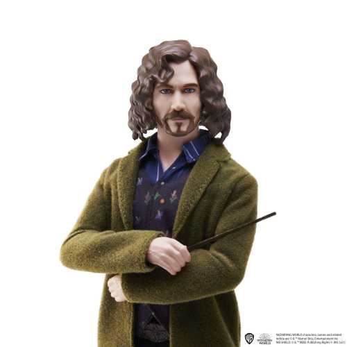 Sirius Black - Harry Potter