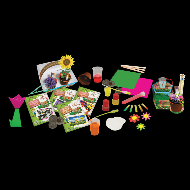 Fábrica das Flores - Science4you