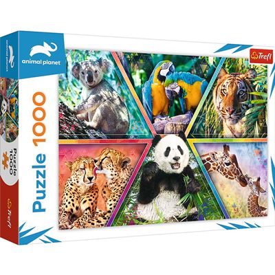 Puzzle Trefl 10672 - 1000 Peças