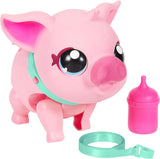 Little Live Pets – My Walking Pig – Porquinha Interativa Piggly