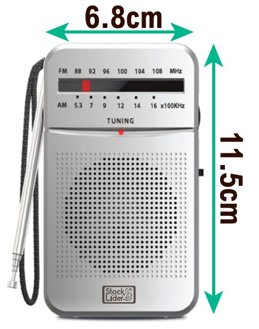 Rádio AM/FM Portátil