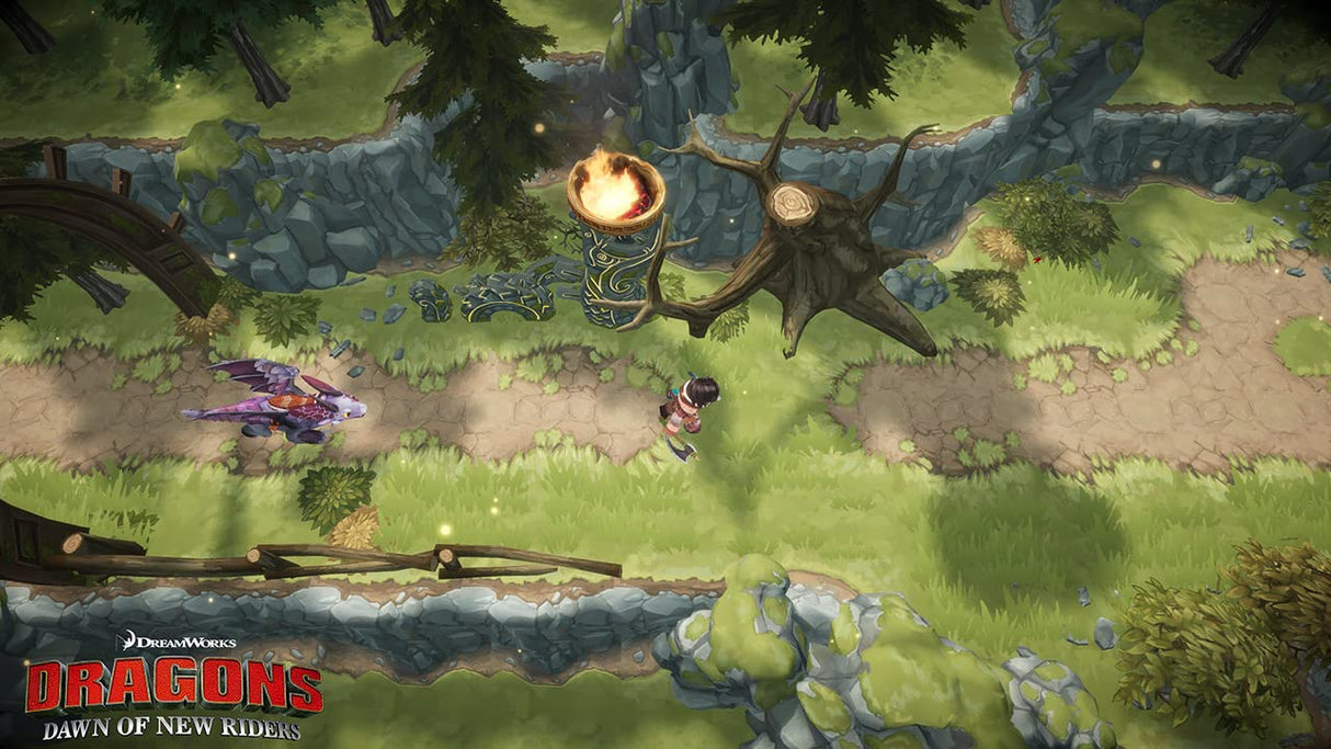 Jogo Dragons Dawn of New Riders - Nintendo Switch