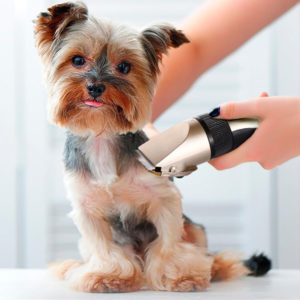 Kit Máquina de Tosa Silenciosa para Animais de Estimação - Multi4you®