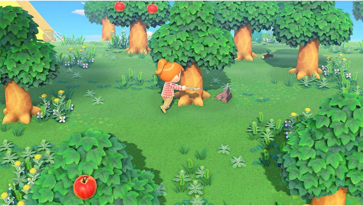 Animal Crossing Novos Horizontes Nintendo Switch (Grade A)