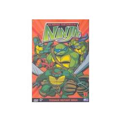 As Novas Tartarugas Ninjas 1 - DVD Zona (GRADE A)