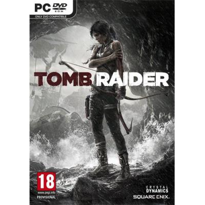 Tomb Raider PC (GRADE A)
