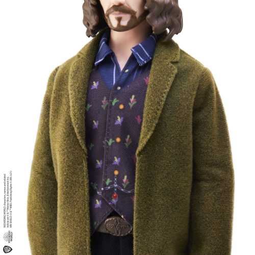 Sirius Black  - Harry Potter